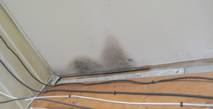 One Mother's Toxic Mold Story