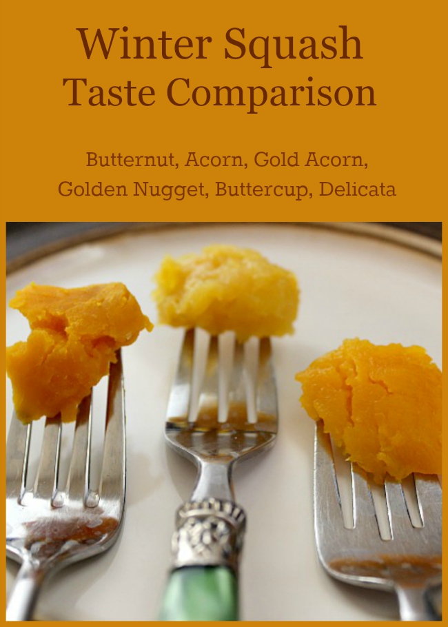 Which type of winter squash is the sweetest Which one is ideal for vegetable casseroles Check out this winter squash taste comparison! #realfood