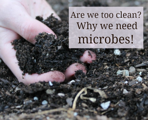 Are we too sanitized Why are we afraid of dirt What role do microbes play when it comes to our overall health