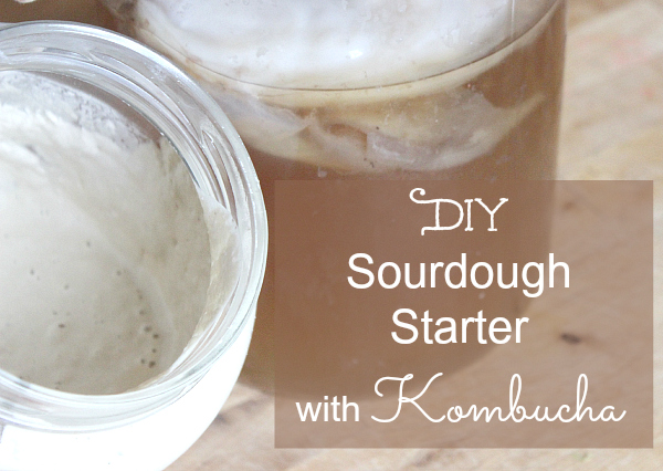 DIY Sourdough Starter with kombucha PT
