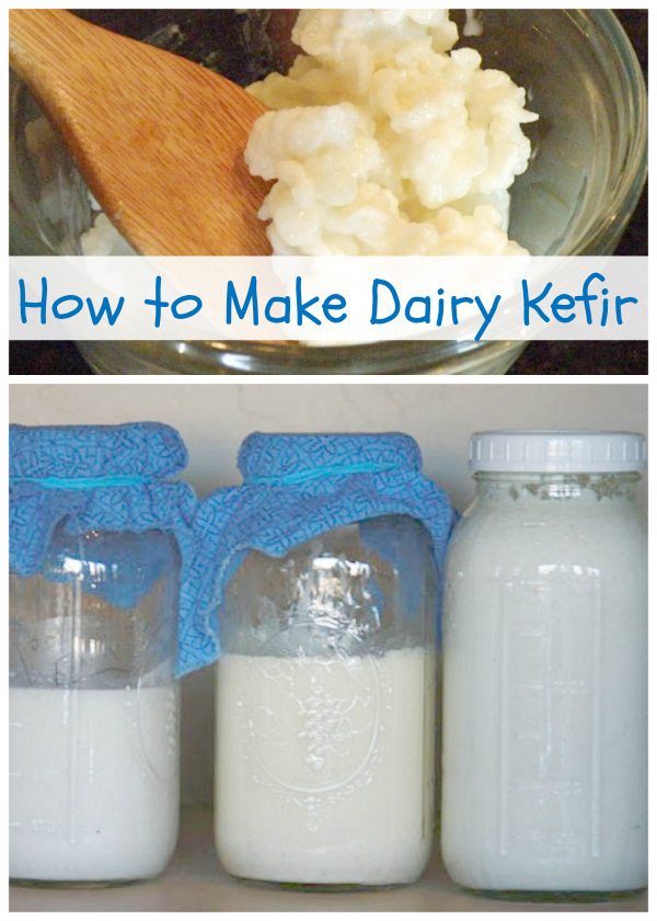 How to Make Dairy Kefir ITT