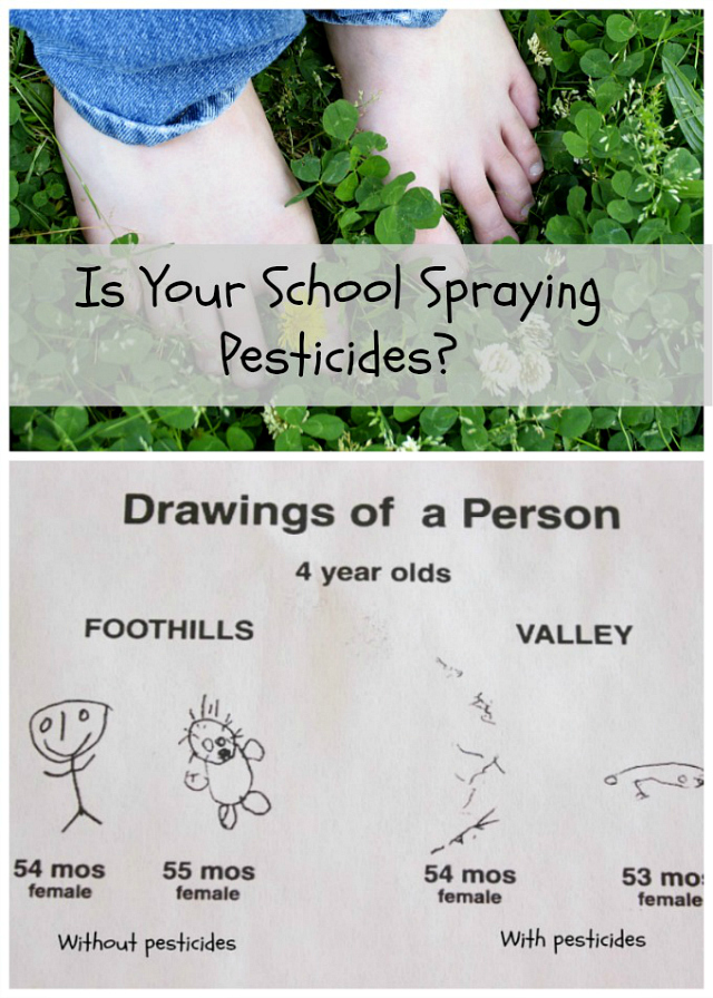 Many pesticides work as a nerve poison. What happens to children when they are repeatedly exposed to these chemicals