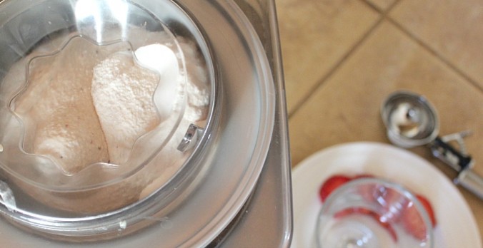 Homemade Vanilla Ice Cream