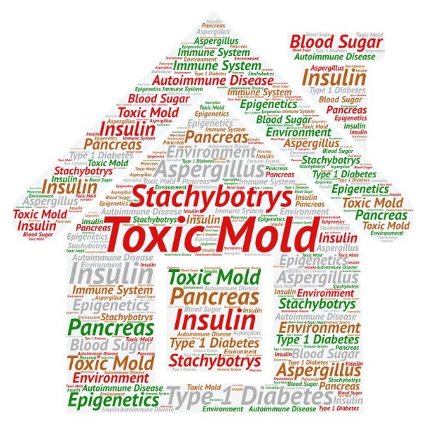 toxic-mold-and-type-1-diabetes