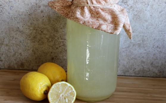 Fermented Lemonade