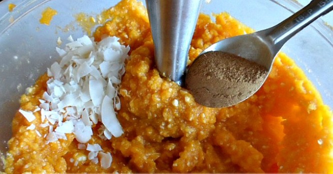 Squash Snack Squash Snack