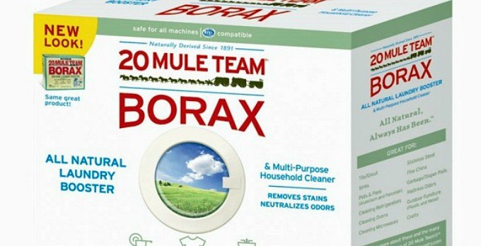 The Safety of Borax