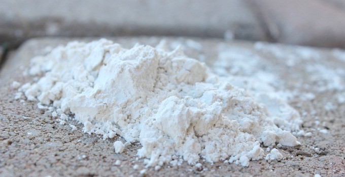Diatomaceous Earth -What It Is and How to Use It