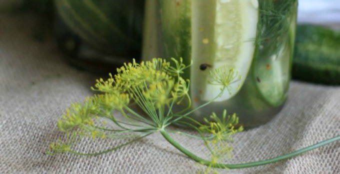 Best Cultured Foods and Beverages 2014