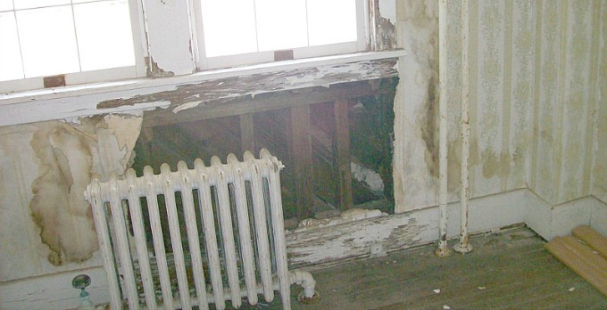 Haunted House? Could It Be Toxic Mold?