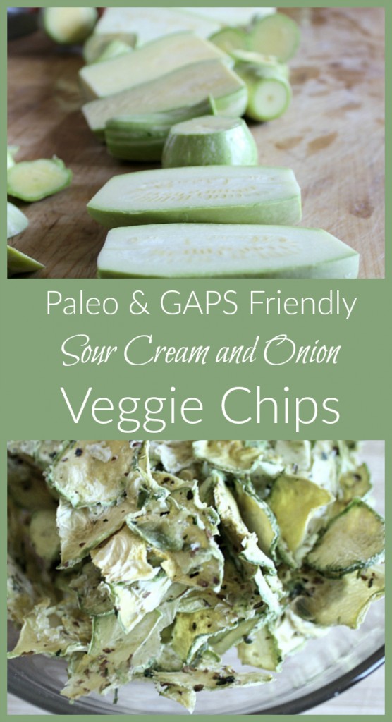 Sour Cream and Onion Veggie Chips It Takes Time