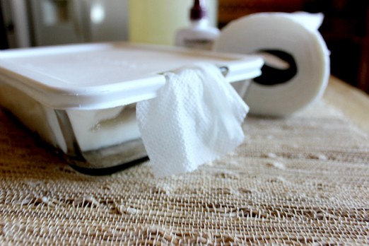 DIY Antibacterial or Baby Wipes
