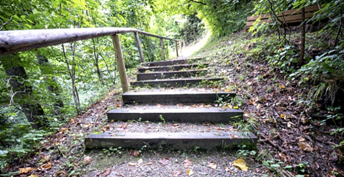 Healthy Living, Small Steps, and Big Changes